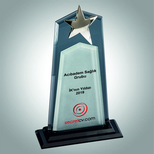 KRİSTAL VİP PLAKET ESV 007