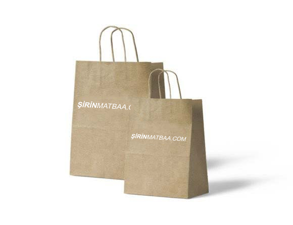 Logo Baskılı Kağıt Poşet / Çanta