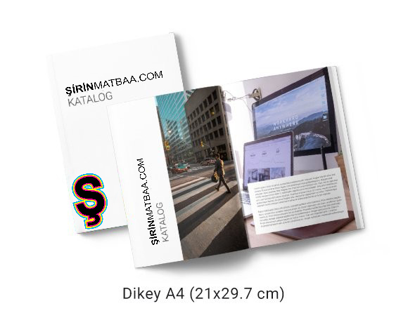 Katalog / Dergi