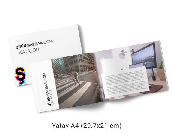Katalog / Dergi